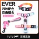 EVERKing狗狗胸背项圈牵引绳渐变色大中小型犬遛狗绳 自由搭配