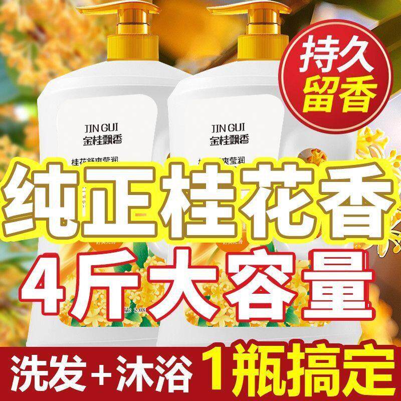 桂花洗头沐浴露润二一合男女用滋保湿香水沐浴乳FFW洗头通蓬松清