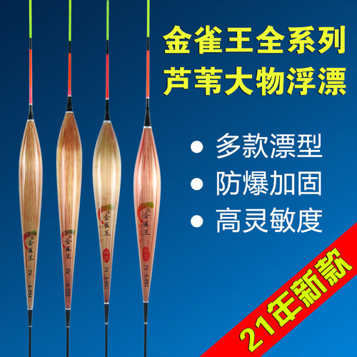 金雀王芦苇大物漂黑坑青鱼漂高灵敏防爆加固3目加粗湖库巨物浮漂