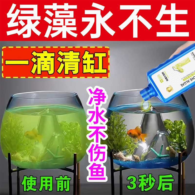 鱼缸除藻去苔剂去藻青苔鱼池除绿水褐藻黑毛藻戊二醛鱼缸除藻剂
