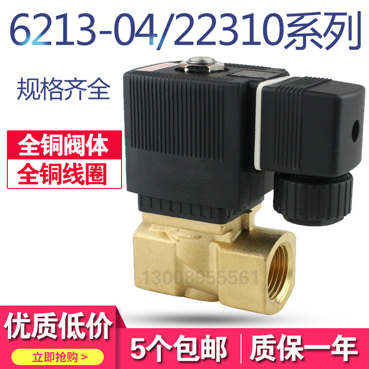 4分室外防水 防雾电磁阀 2分6213-04 JT2231015 6分 1寸 220V 24V - 实物图