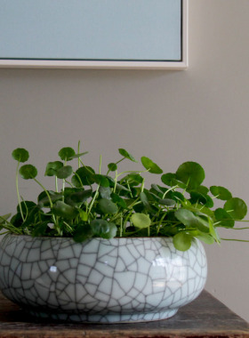 绿萝水培花瓶水养陶瓷种花盆笔洗宽口开片摆件桌面摆设鱼缸