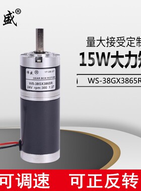 行星减速电机12V24V直流齿轮减速电机WS-38GX3865R正反转调速马达
