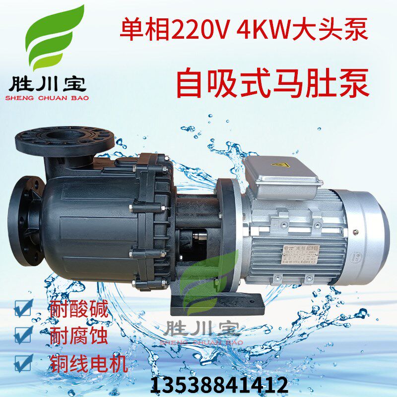 胜川宝大头泵单相220V4KW电动化工泵电镀污水提升化工自吸马肚泵