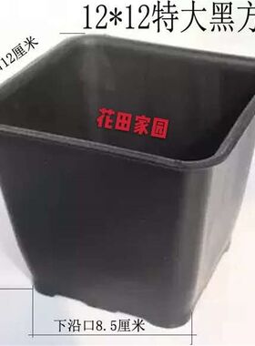 大黑方12*12cm 多肉花盆 加厚小方形塑料花盆多肉塑料花盆