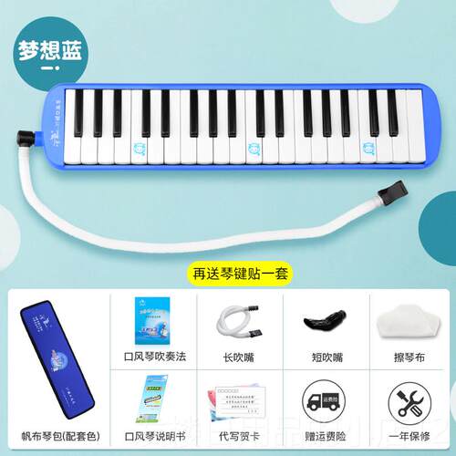 正品鹅风琴37键儿童初学生者学口成人教学专业演奏32键口天吹琴乐