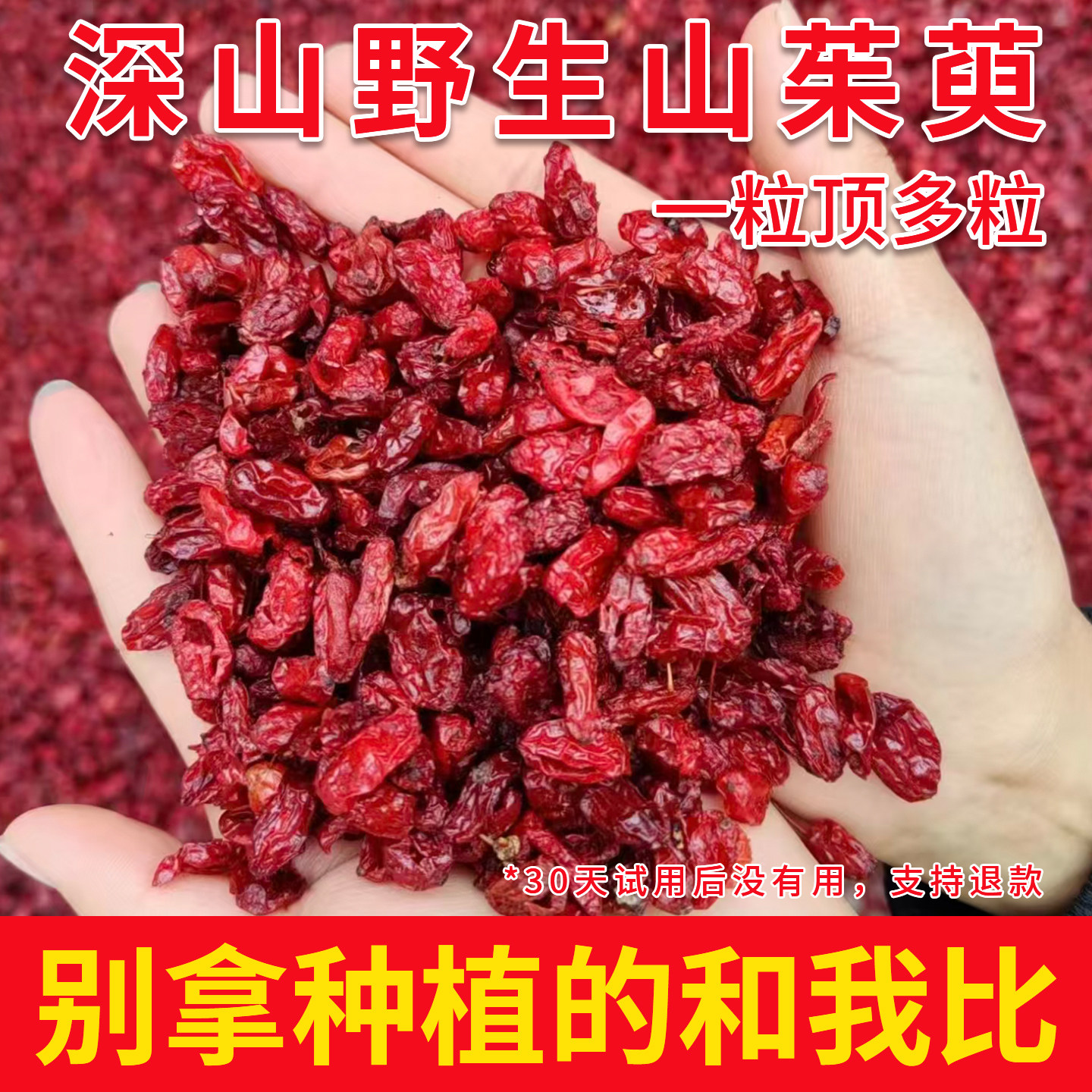 秦岭野生山茱萸中药材正品官方旗舰店250g新货覆盆子山萸肉五味子