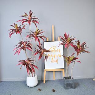 新款仿真西巴饰铁红VTK色绿色朱蕉假花板家居装软装工程样间落地