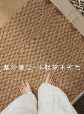 仿剑麻入户定BFU门地垫可裁剪制口可洗地毯新款耐脏机门家用脚