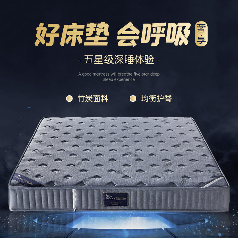 席梦思弹簧床垫软垫软硬竹炭两用床垫家用睡垫酒店双人适老床垫
