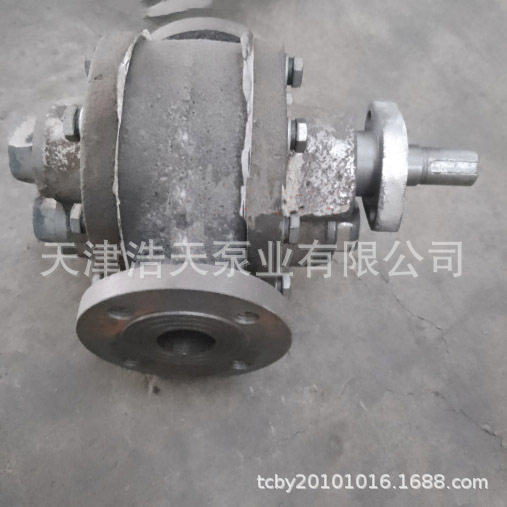 法兰型沥青齿轮泵WCLB-F稠油粘油树脂聚氨酯柴油机油齿轮泵