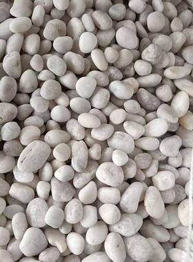 天然精抛-白色雨石花石观23公分庭院造景铺路园LUN林景石鹅卵石沙