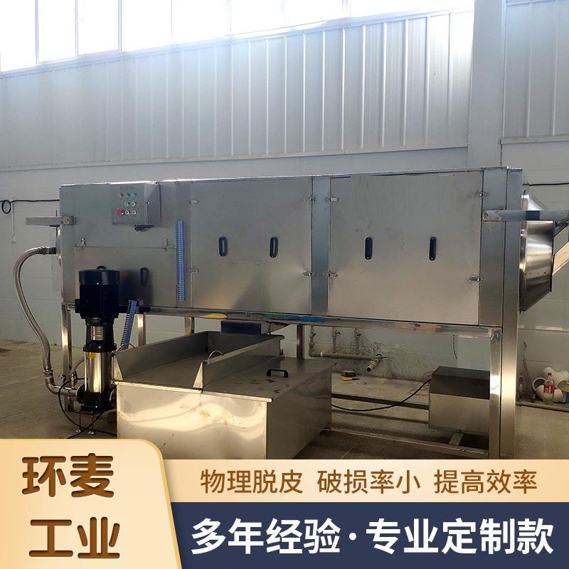 滚筒式桃去刷皮机杏仁莲子仁去皮RDW清洗机坚果仁毛核清洗仁去皮