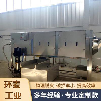滚筒式桃去刷皮机杏仁莲子仁去皮RDW清洗机坚果仁毛核清洗仁去皮