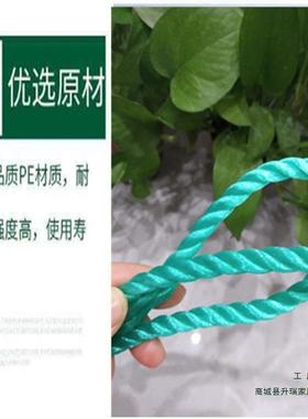 03--1MM胶大丝塑绳聚乙烯尼龙料绳广告打包ADF捆绑绳园艺棚绳子50