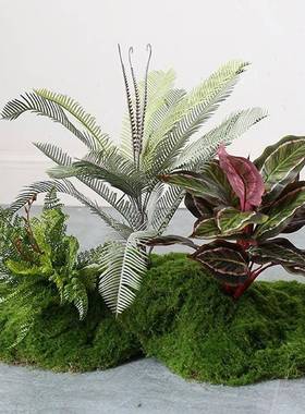 仿真tb-75515绿植造藓微苔景观组合室内装客厅软假植物景橱窗过道