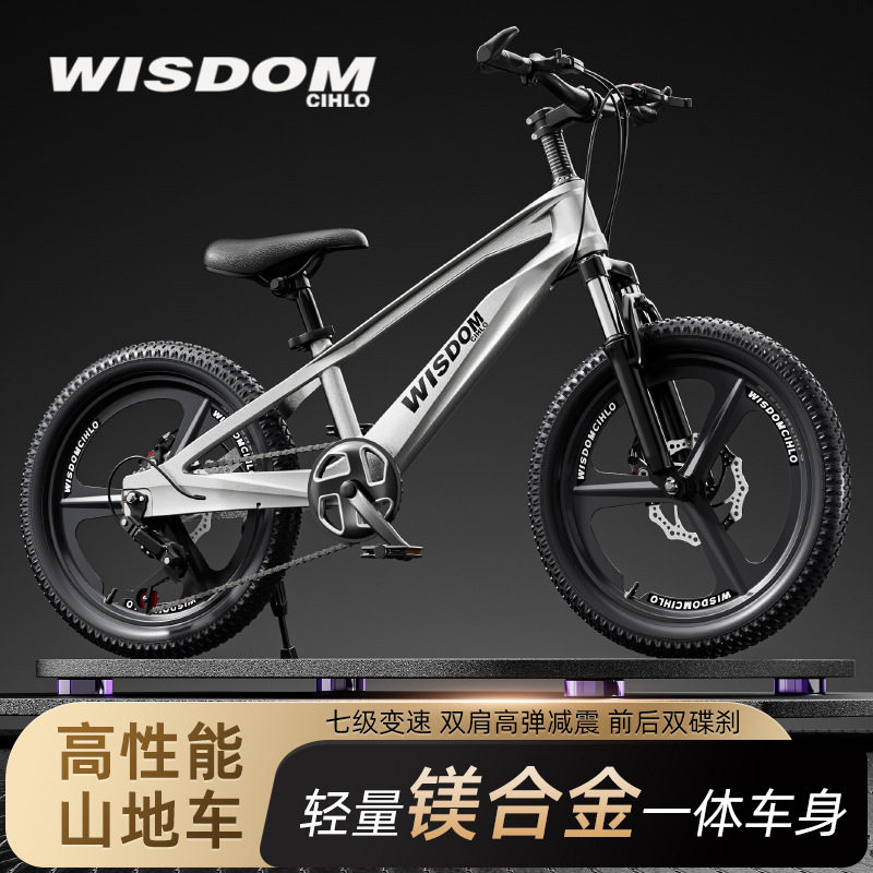 镁合金儿童变速山地车碟刹减震