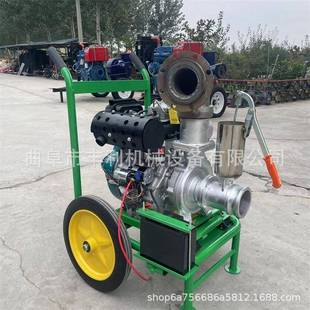 应急防柴油手推汛田灌溉高压泵农用抽水泵机小型IIA管农道增压泵