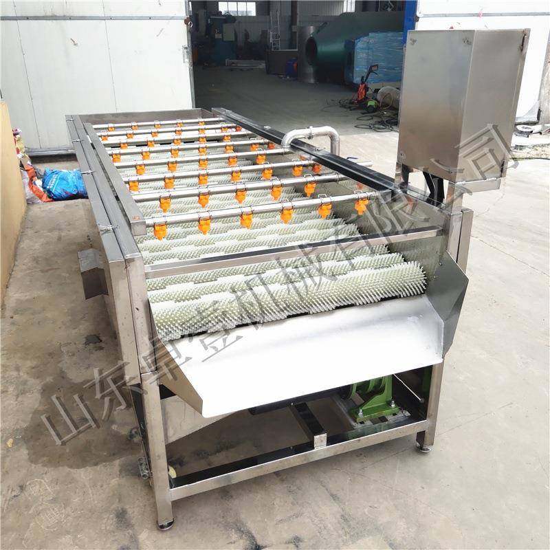 橘胡萝卜大清姜毛刷洗机子橙打蜡机脐果蔬毛辊清洗打蜡AWM设备,鲜花速递/花卉仿真/绿植园艺,其它园艺用品,淘宝优惠券,粉丝福利购,淘宝优惠卷