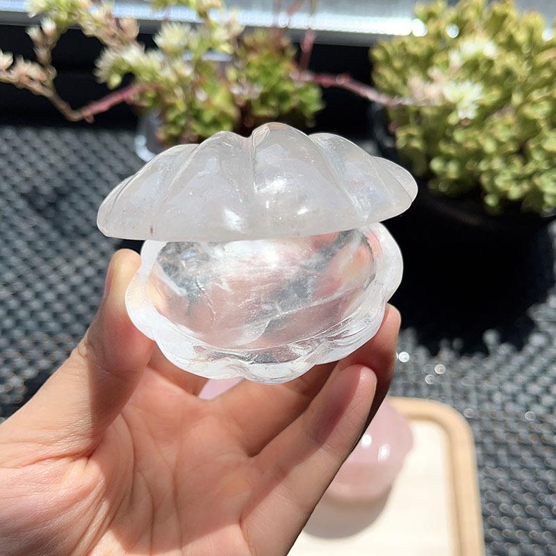 天厘然白水粉晶贝壳原石打磨水晶贝壳造型可爱可2-放3RVU米水晶