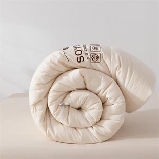 全A子类子母扣棉款二合一母被PQL大豆纤维冬被双胎春用秋被芯床上