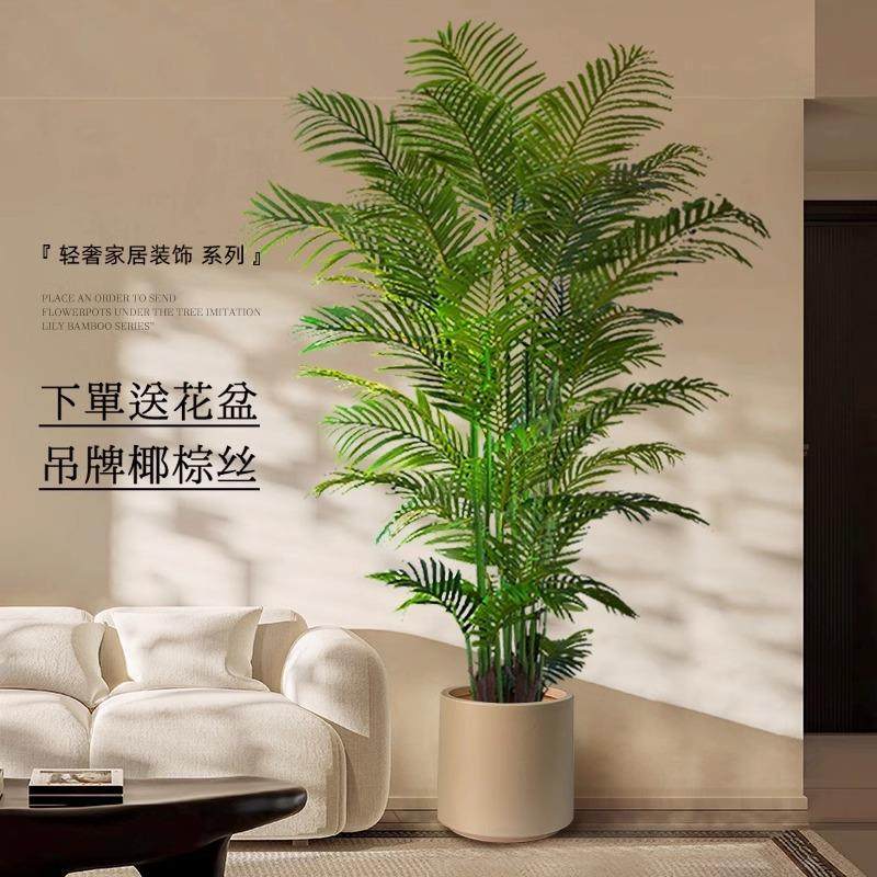 真绿植散尾假植客厅轻奢MIK装饰树室内大型盆栽物落地摆件仿仿葵,鲜花速递/花卉仿真/绿植园艺,其它园艺用品,淘宝优惠券,粉丝福利购,淘宝优惠卷