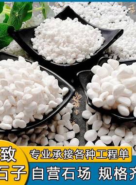 白色石子水洗石铺子路白卵造景白色HNW鹅卵石造景白子石石透水地