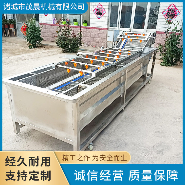 商用全自动不锈钢气泡果蔬清洗机