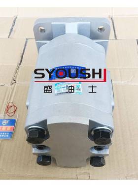 合长源齿轮泵C肥LBG2100-AQMBP/BLPL/LBLH/BLH/BFP/BFPL/BFH/BFHL