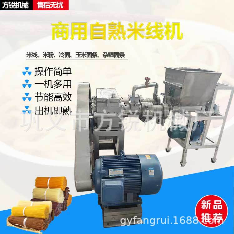 大型不锈钢水洗米线机 全自动杂粮米粉制作设备配备多种模具可换