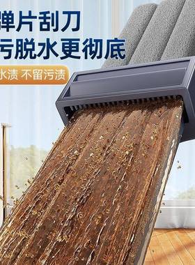 2墩024家用免洗新款平板吸水拖把手一拖懒人布801地拖净地珑放