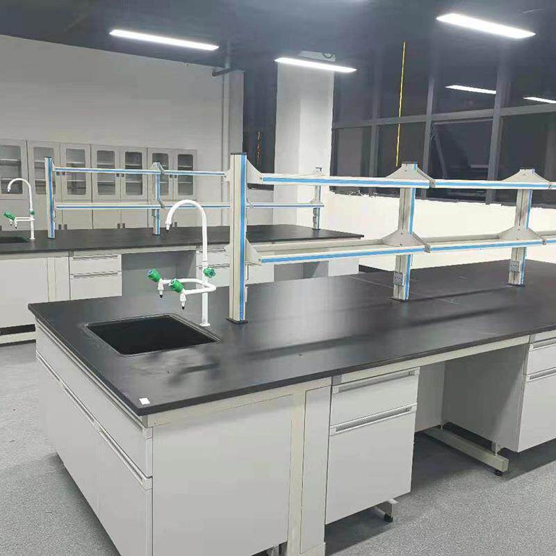 实验水槽柜化台洗手台验钢木室涤洗槽全钢试验水池柜P01P水槽台