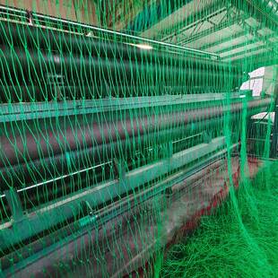 菊79花大种植网防倒伏网大种植棚方植格网园艺物爬藤网定植葱菊花