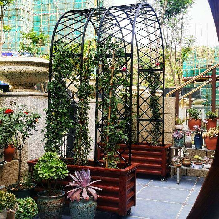 庭欧式铁艺拱门花鲜门架爬藤架庭院户外F96JJ8TS花拱月季爬藤院花,节庆用品/礼品,陪嫁用品套装,淘宝优惠券,粉丝福利购,淘宝优惠卷