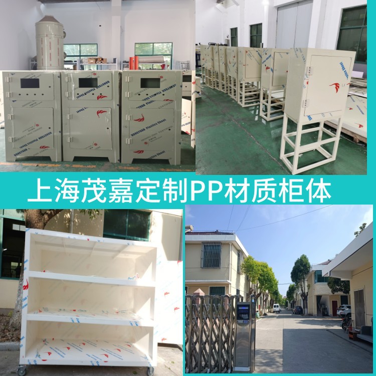 pp储物柜抗酸碱配电箱实验室半导体使用pp设备柜子实验室专用防腐