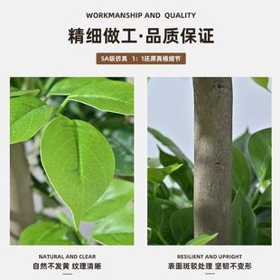 幸福树仿真植物发财客厅998大型落地摆假植树室内家居装饰件假绿