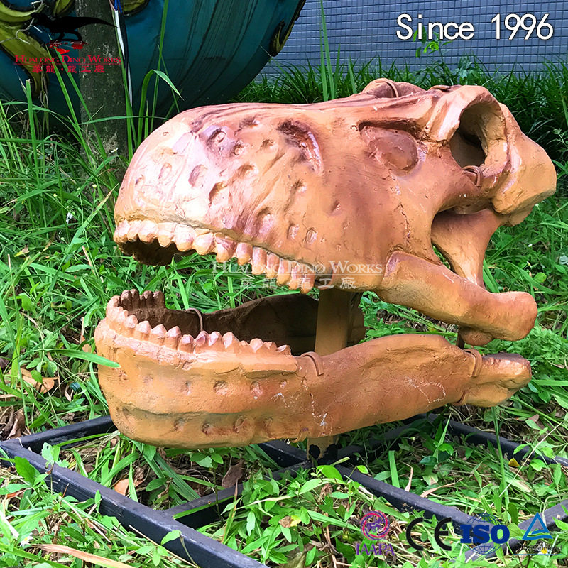 仿真化石霸王龙头 玻璃钢树脂工艺 仿真恐龙化石骨架模型制作厂家