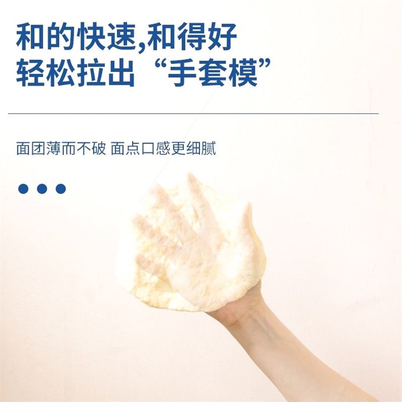 德国和面机家用小型全自动揉面机和面发面一体机智能发酵不锈