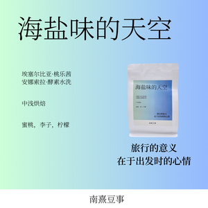 海盐味的太空｜桃乐茜安娜索拉水洗浅烘蜜桃李子柠檬风味咖啡豆