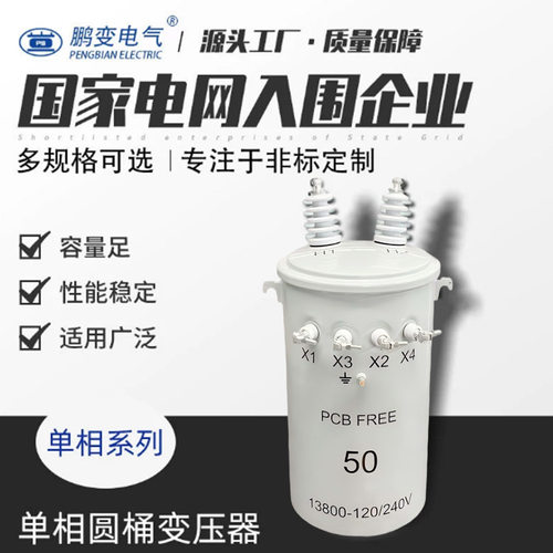 鹏变单相柱上变压器50-167KVA