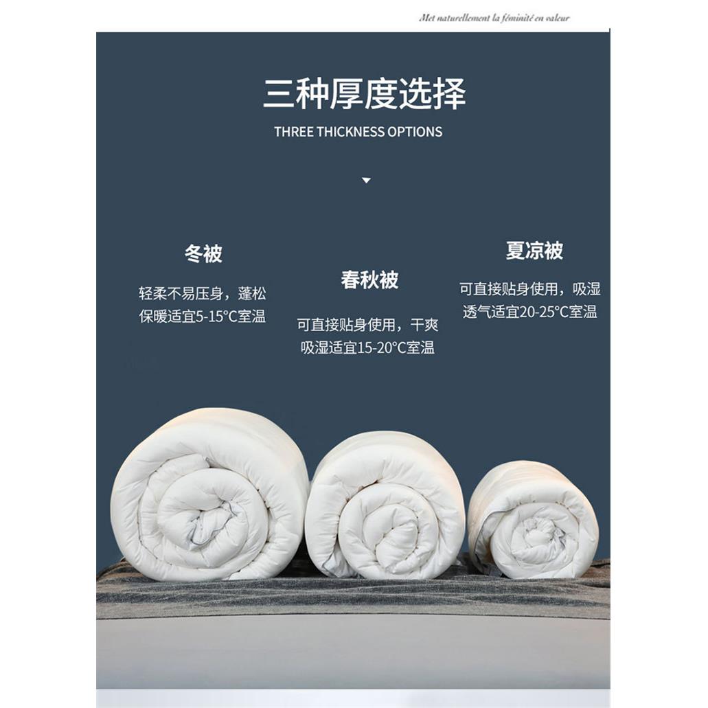 大豆纤维被子芯379冬被加厚冬天被保暖被单双人冬棉褥10斤季四季