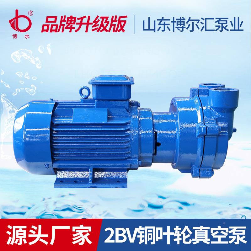 博水山水2BV2070环真空泵闭式真空系式统机499组耐泵腐蚀机电设备
