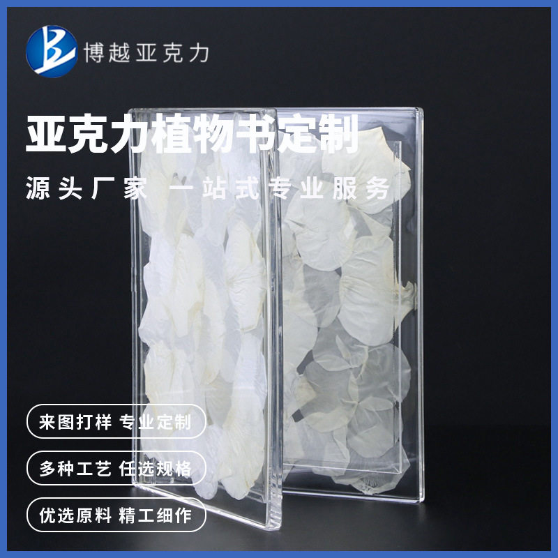 亚克力工艺品内置干花瓣植物书家具桌面拍照创意摆件柜台装饰现货