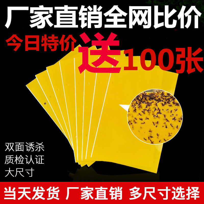 粘虫板黄板大棚双面诱虫板蓟马飞虫果蝇蓝板黏虫板柑橘诱虫板果园