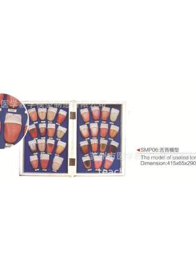 599MS6舌苔模P0型