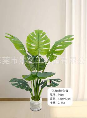 仿真龟背U杆真龟背叶盆栽背仿真93植P物盆景龟仿竹仿真龟背绿植摆