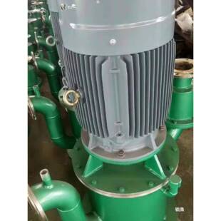 %l无260立式 2tlznj 351L 自控自吸泵WFB密封自控自吸泵不锈钢304