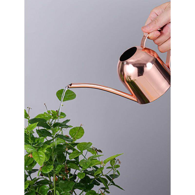 不锈钢浇花罐迷你金属家用长口金色浇花罐儿童小型多肉浇花罐,鲜花速递/花卉仿真/绿植园艺,洒水/浇水壶,淘宝优惠券,粉丝福利购,淘宝优惠卷