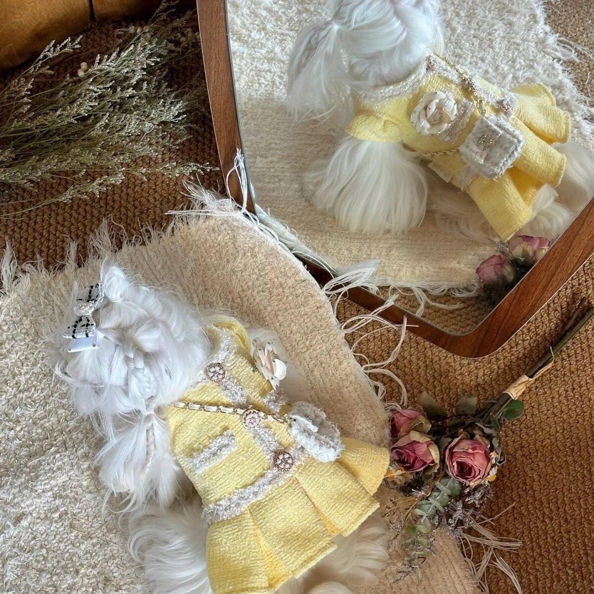 马尔济斯专用小香风衣服约克夏狗狗裙子连衣裙秋冬季冬天超小体犬