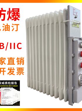 BYT-2.0KW移动式防爆电暖器9片11片13片15片密闭壁挂防爆电热油汀